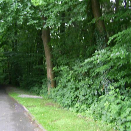 Waldpension ビーレフェルト エクステリア 写真
