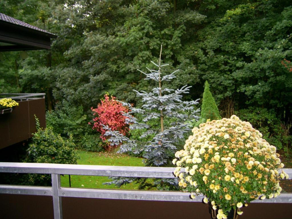 Waldpension ビーレフェルト エクステリア 写真
